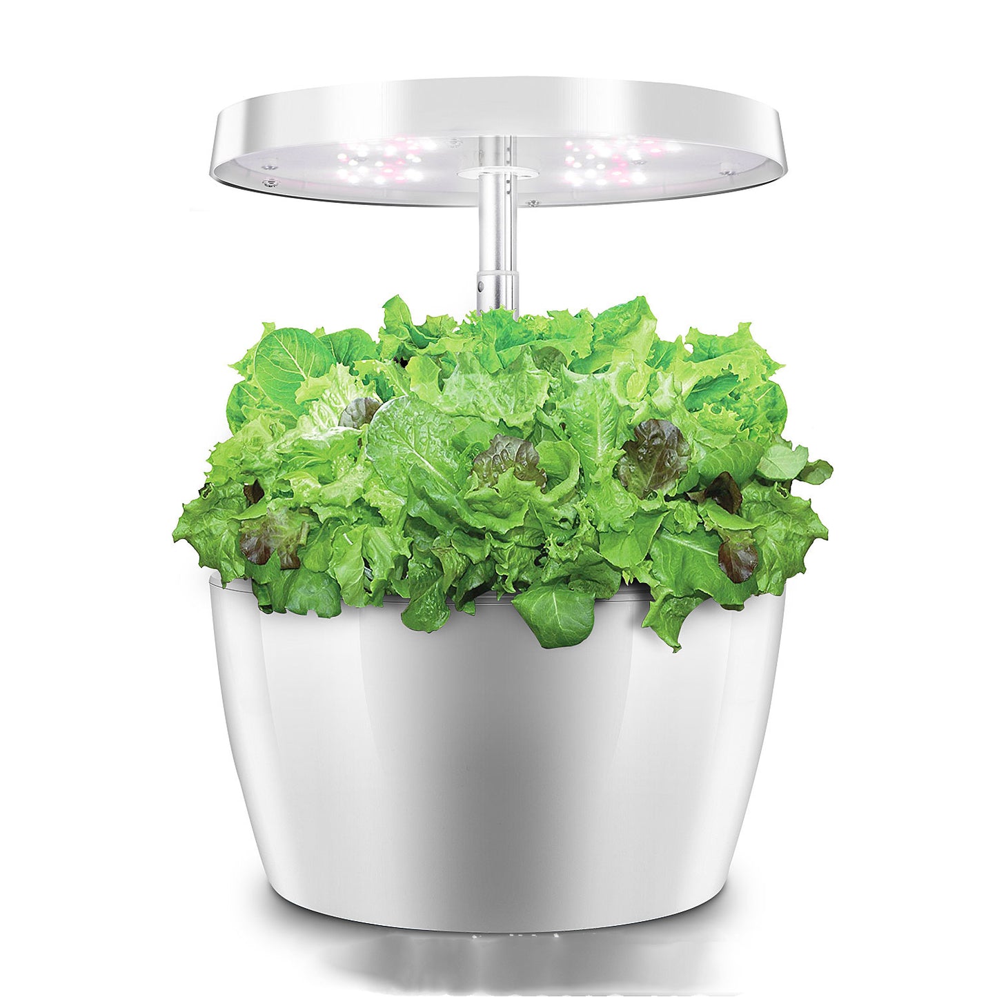 Cannabis growth machine