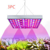 LED Seedling Supplement Greenhouse Light