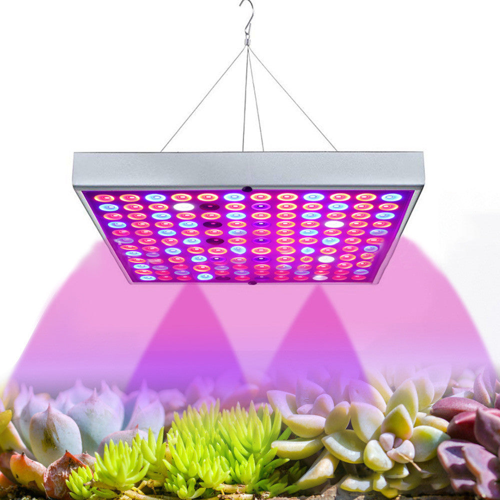 LED Seedling Supplement Greenhouse Light