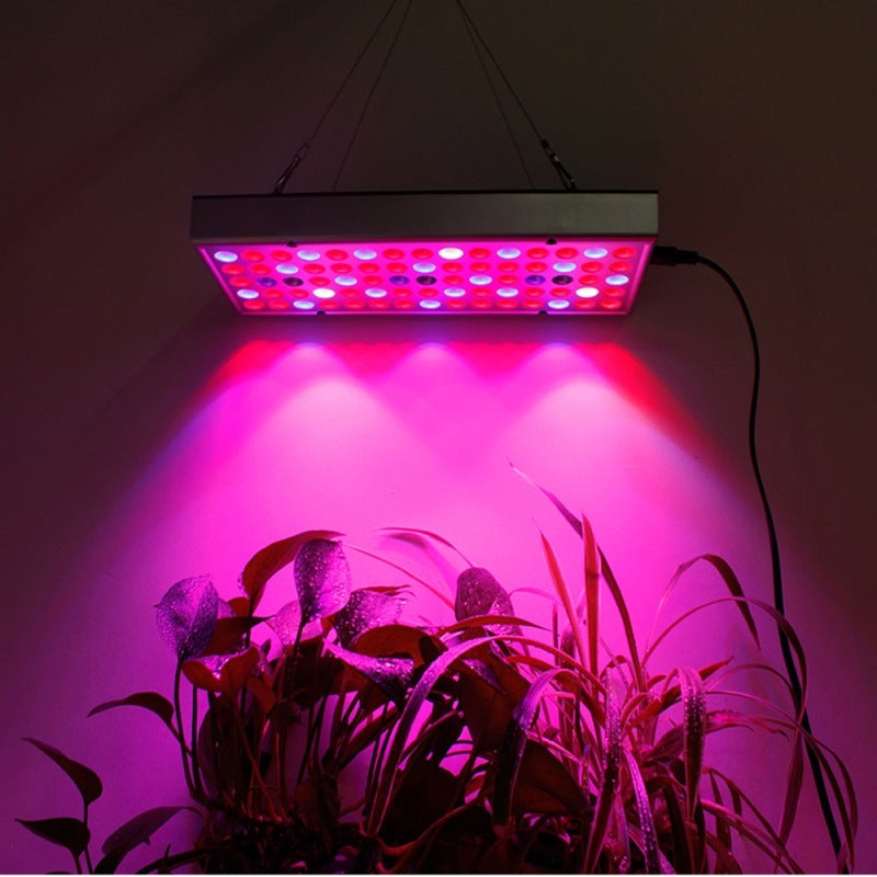 LED Seedling Supplement Greenhouse Light