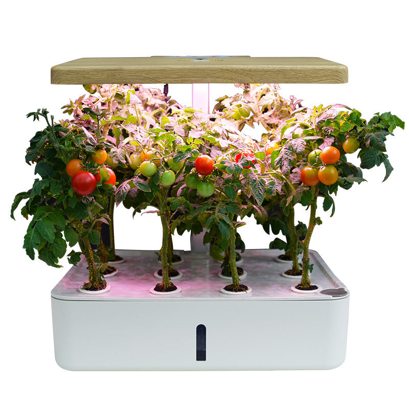Soilless 12-hole Hydroponics Planting Box
