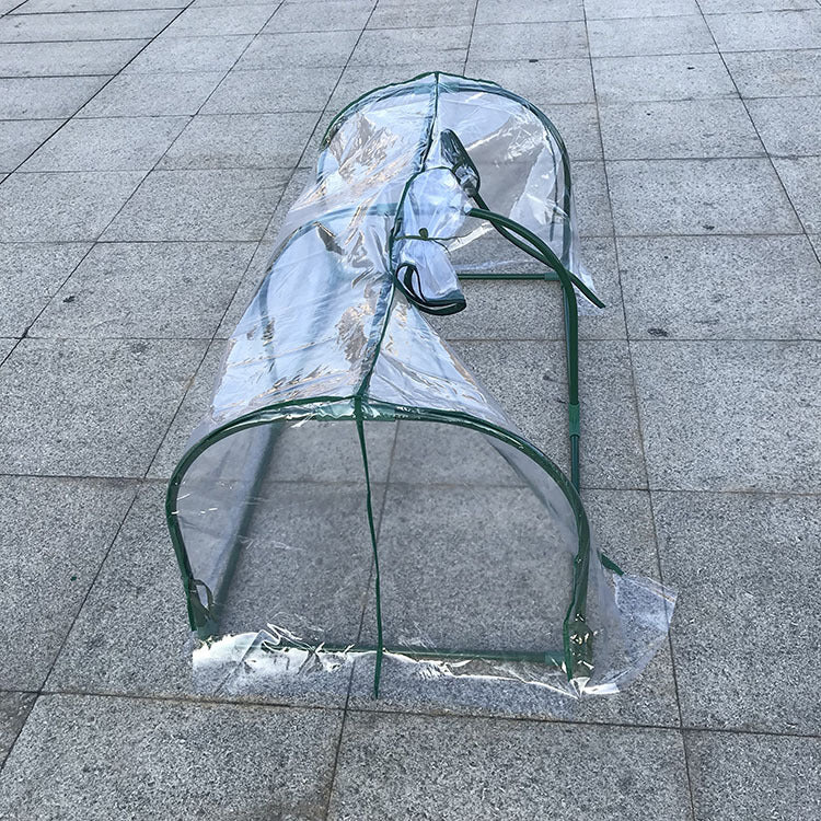 Enhanced Succulent Flower Plant Greenhouse