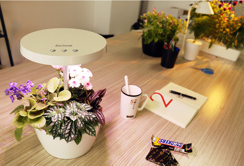 Cannabis growth machine