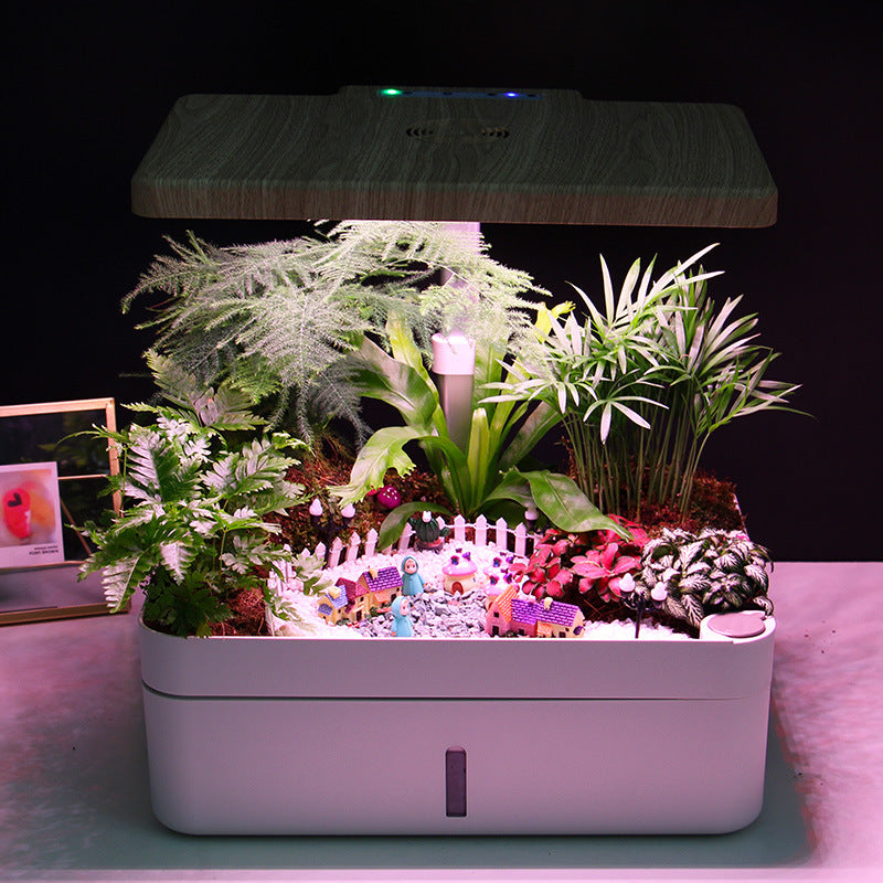 Soilless 12-hole Hydroponics Planting Box