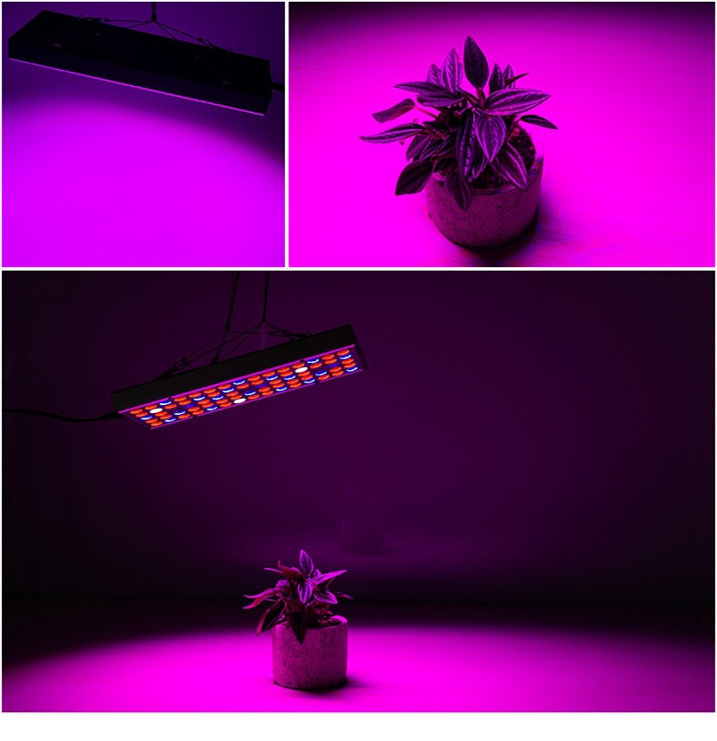 LED Seedling Supplement Greenhouse Light