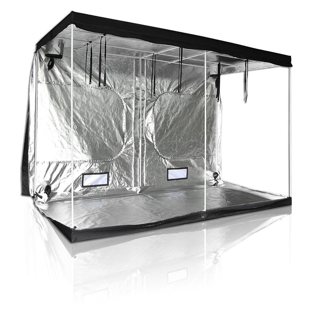 Cannabis Growing Tent