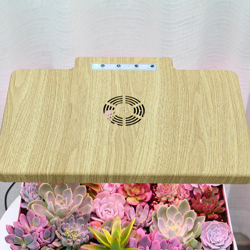 Soilless 12-hole Hydroponics Planting Box