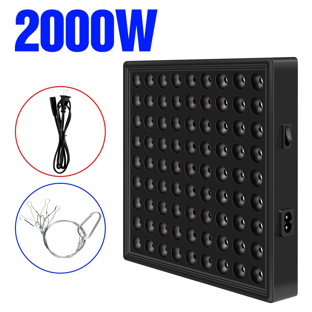 3000W  Full Spectrum Phyto LED Grow Light 220V