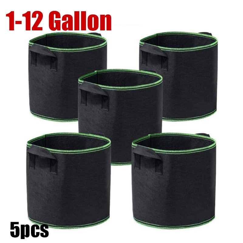 |14:200006154#1 gallon|14:200006156#2 gallon|14:200005536#3 gallon|14:200004889#5 gallon|14:200004890#7 gallon|14:200004891#10 gallon|14:200003699#12 gallon