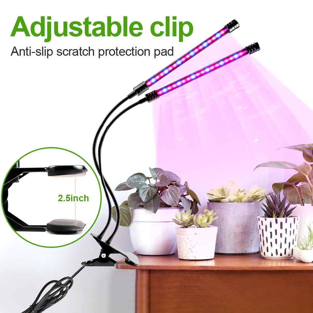 Full Spectrum Phyto LED Tent Grow Light