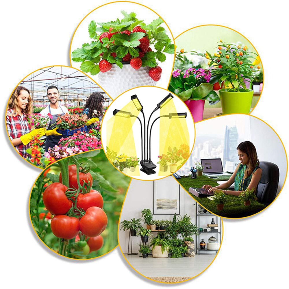 Full Spectrum 40W LED Grow Light