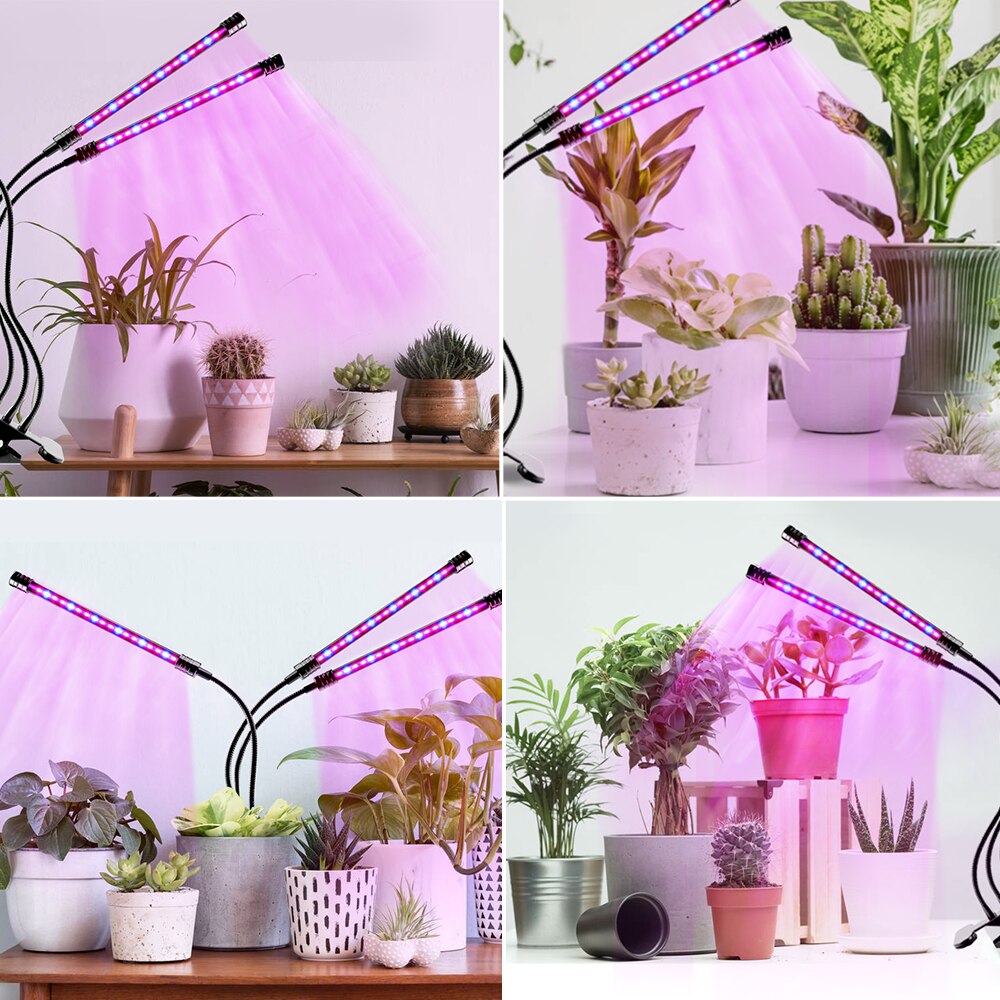 Full Spectrum Phyto LED Tent Grow Light