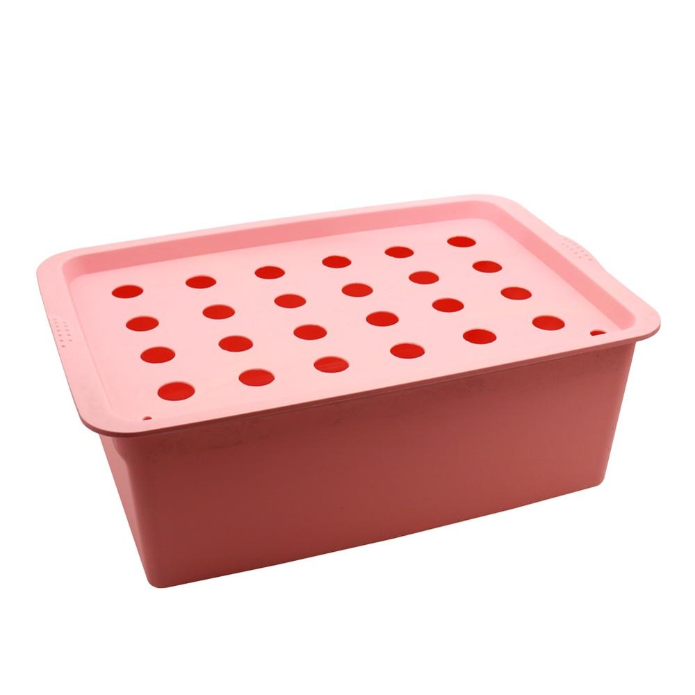 24 Hole Hydroponic Nursey Cultivation System