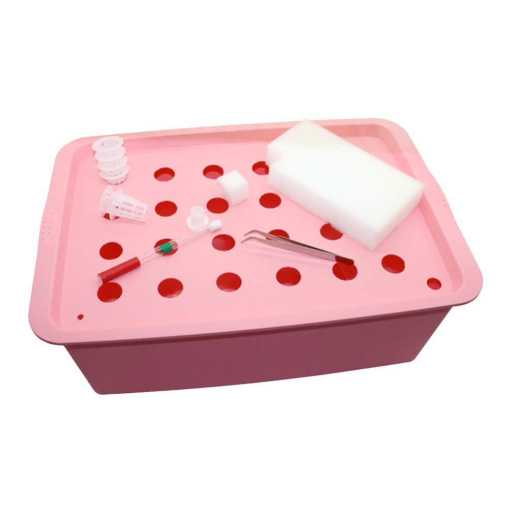 24 Hole Hydroponic Nursey Cultivation System