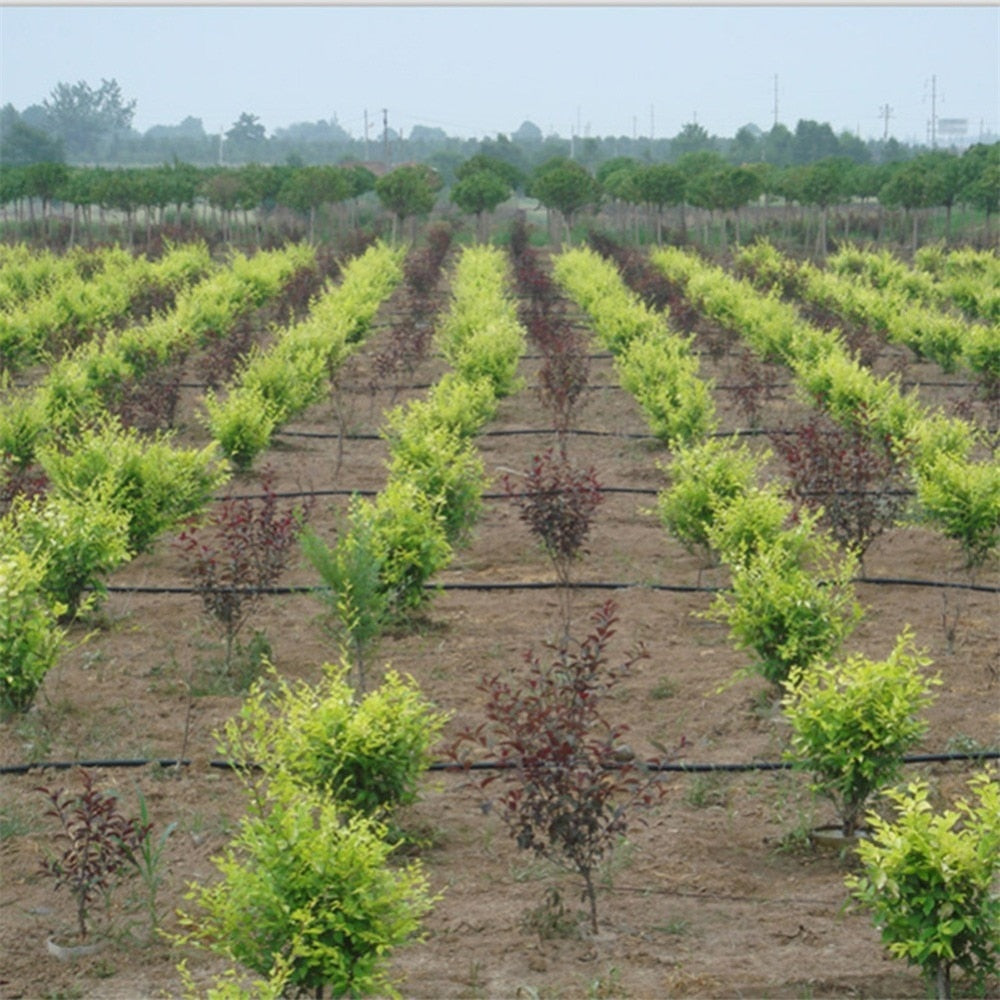 20/40/80m Agriculture Drip Irrigation Tape Space Soaker Hose