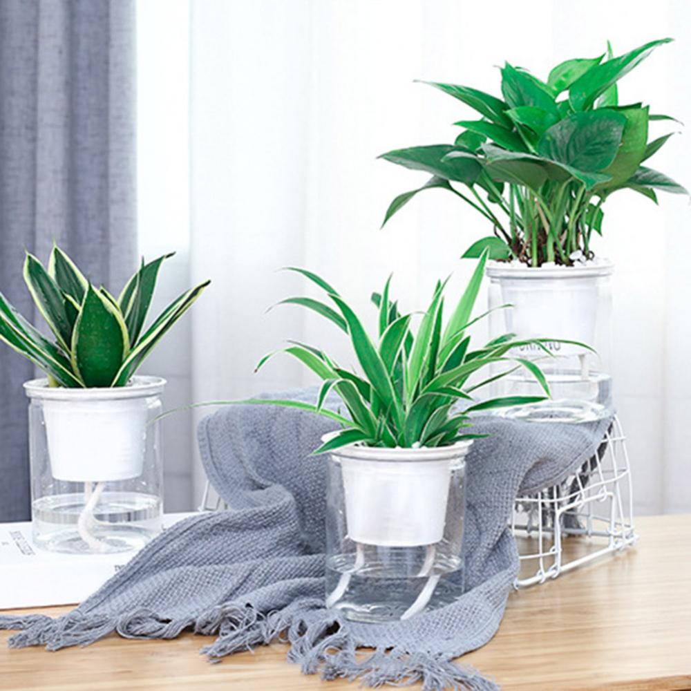 Clear Automatic Water Absorption Double-Layer Self Watering Hydroponic Flower Pot