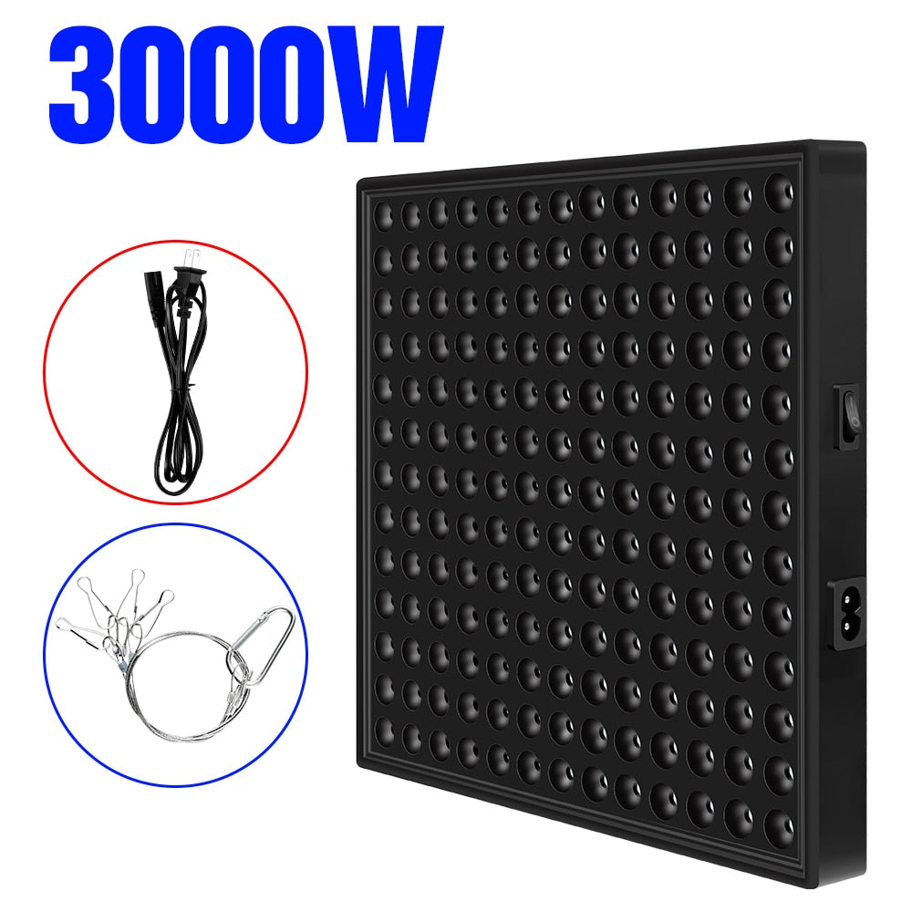 3000W  Full Spectrum Phyto LED Grow Light 220V
