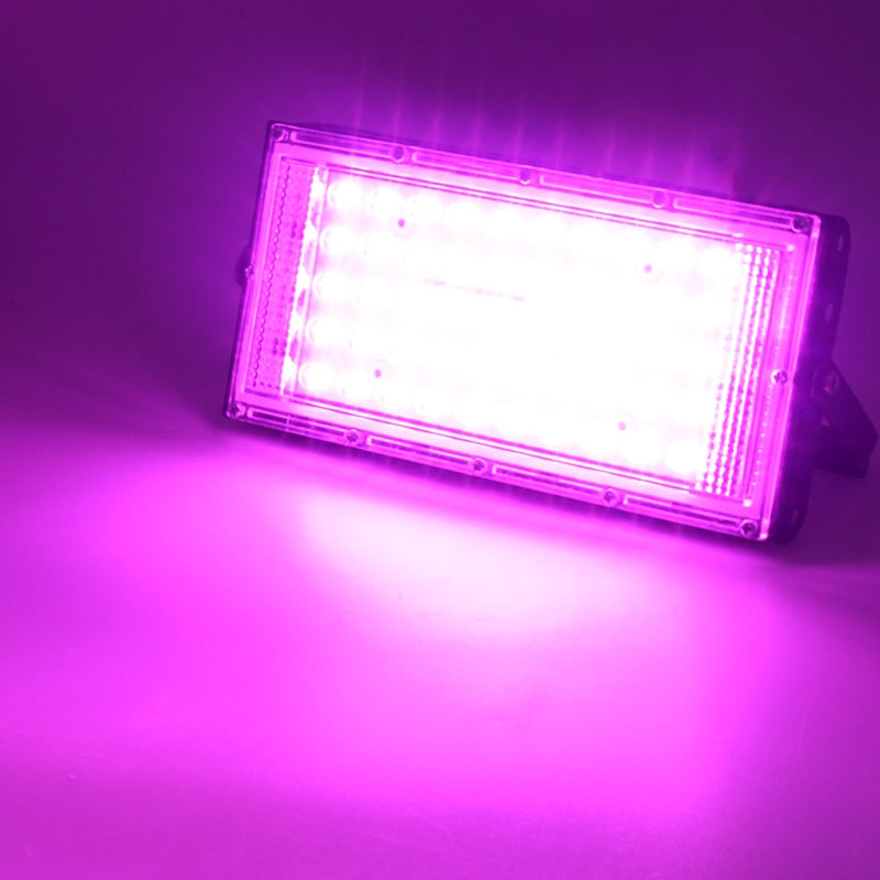 Full Spectrum 50W Phyto Grow Light