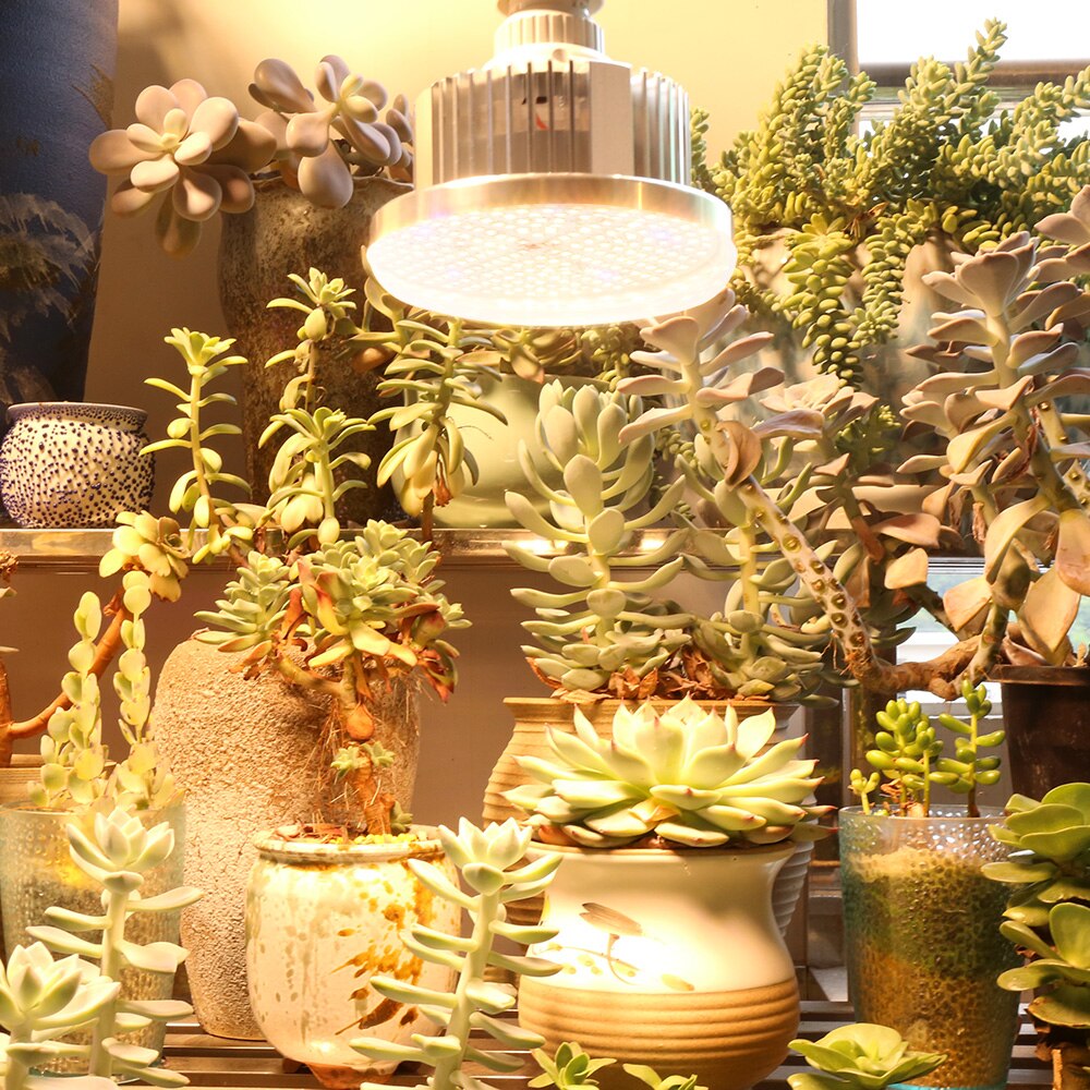 Full Spectrum 150W LED Grow Light