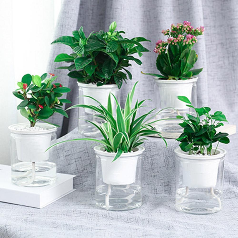 Clear Automatic Water Absorption Double-Layer Self Watering Hydroponic Flower Pot
