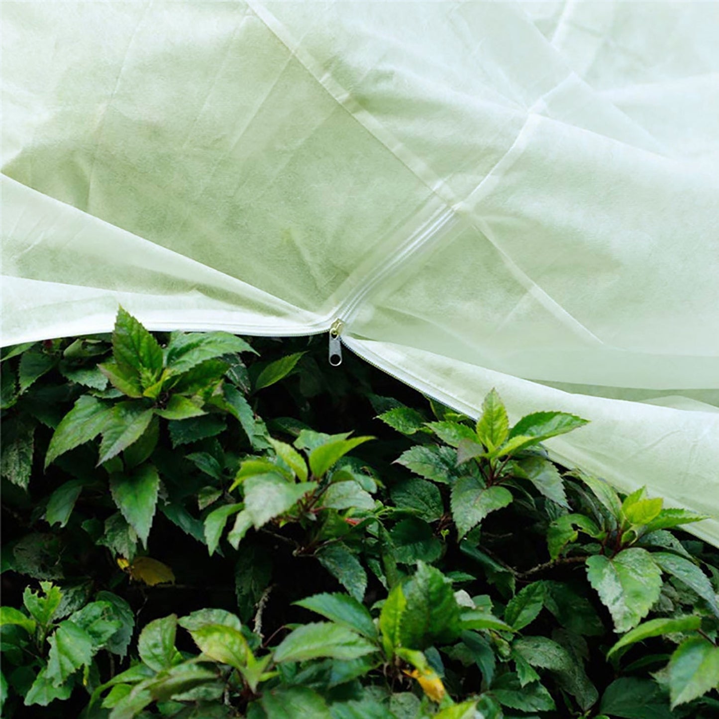 Plant antifreeze protection bag