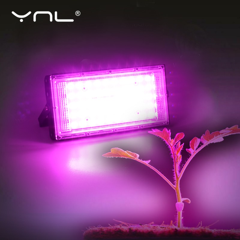 Full Spectrum 50W Phyto Grow Light