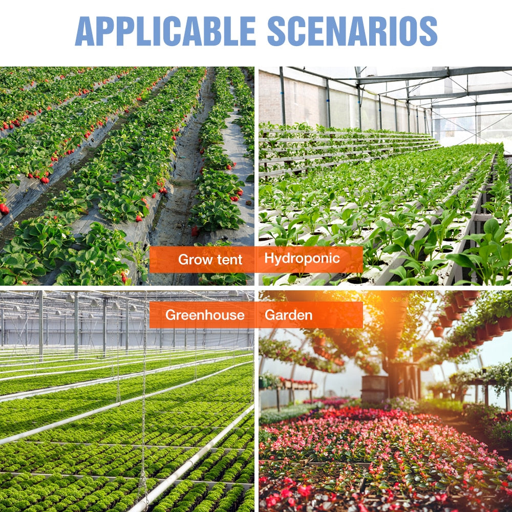 3000W  Full Spectrum Phyto LED Grow Light 220V