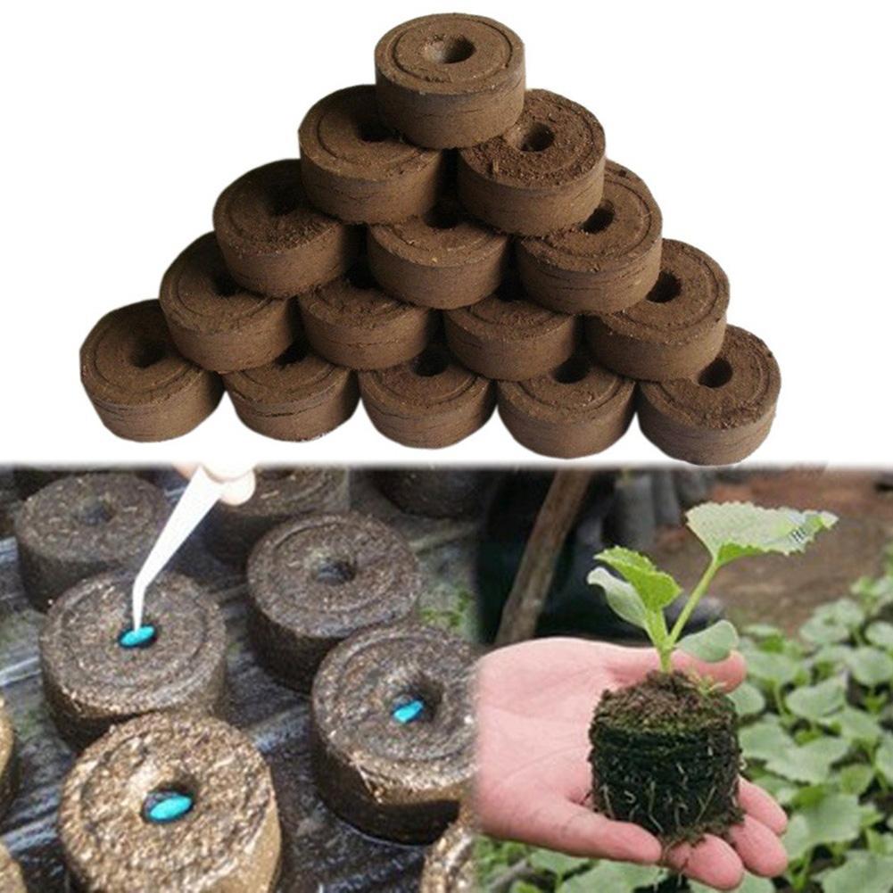Jiffy Peat Seed Starter Pallet Nutrient Soil Block