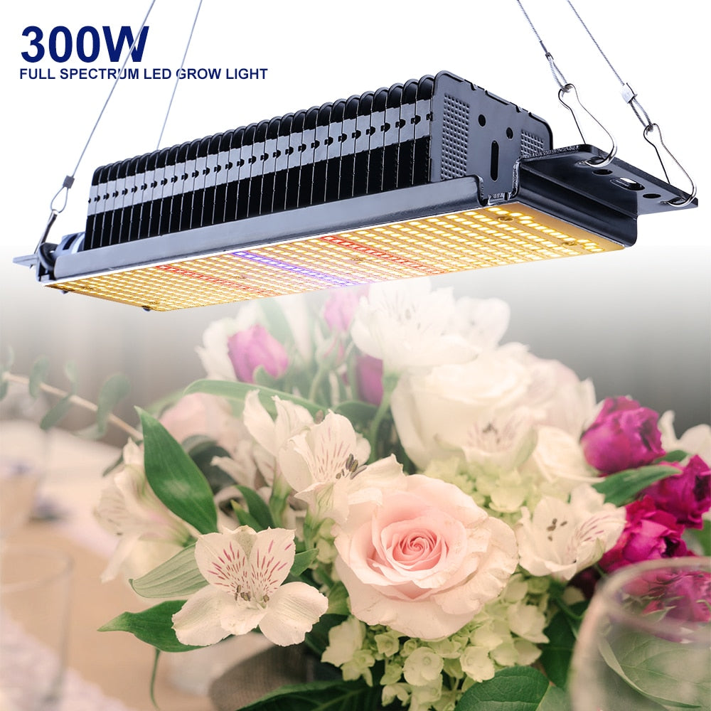 465 LEDs Full Spectrum 300W Phyto Grow Light
