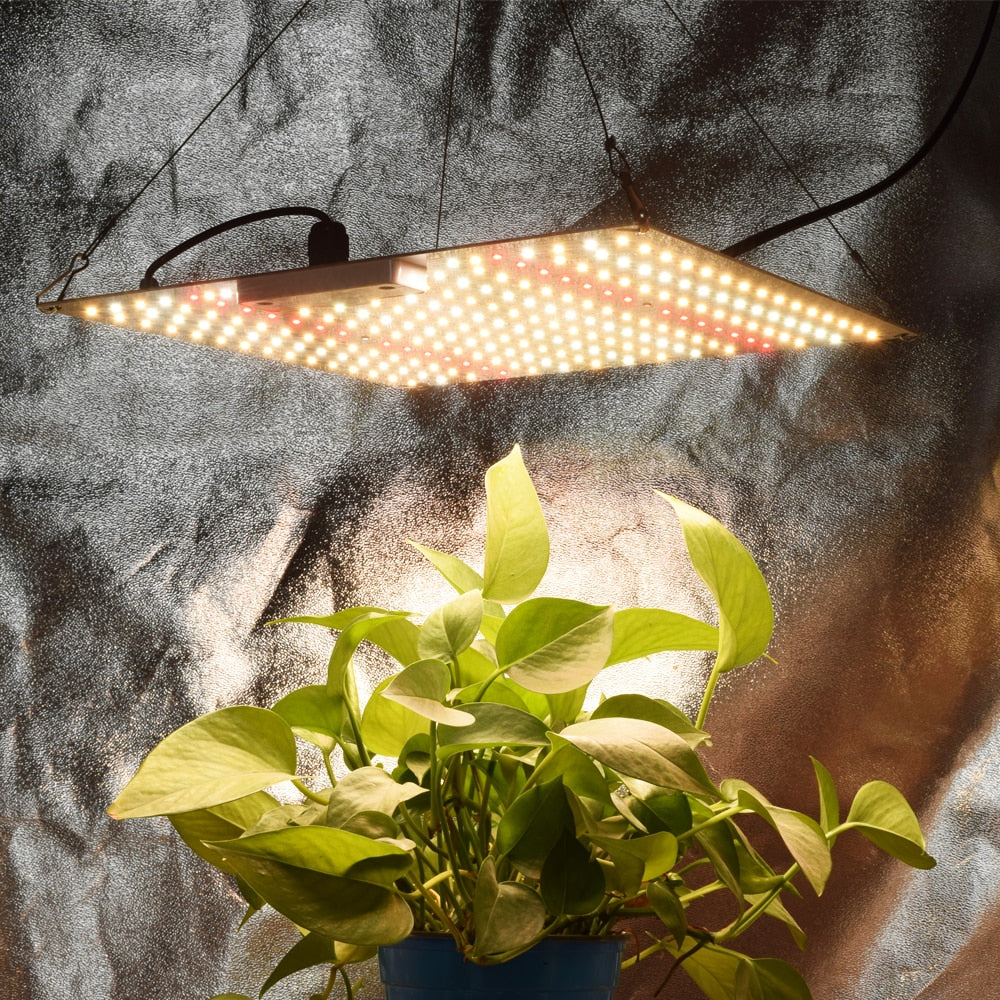 Full Spectrum 600W Grow Lamp