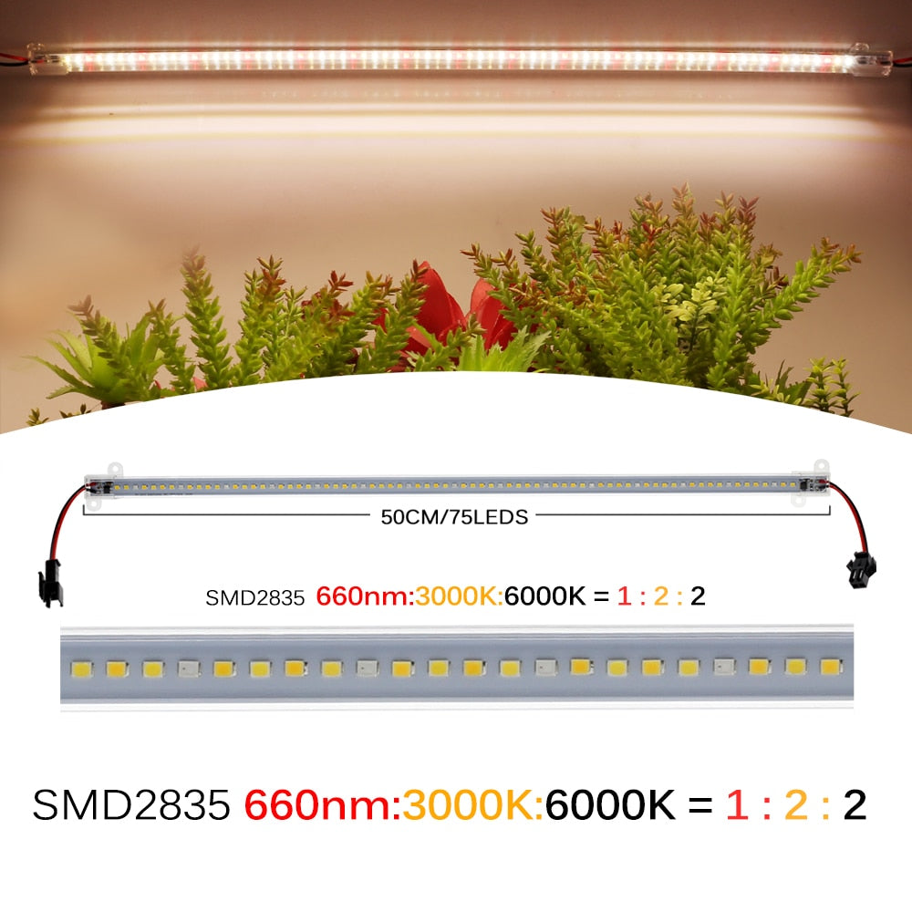 220V LED Grow Light