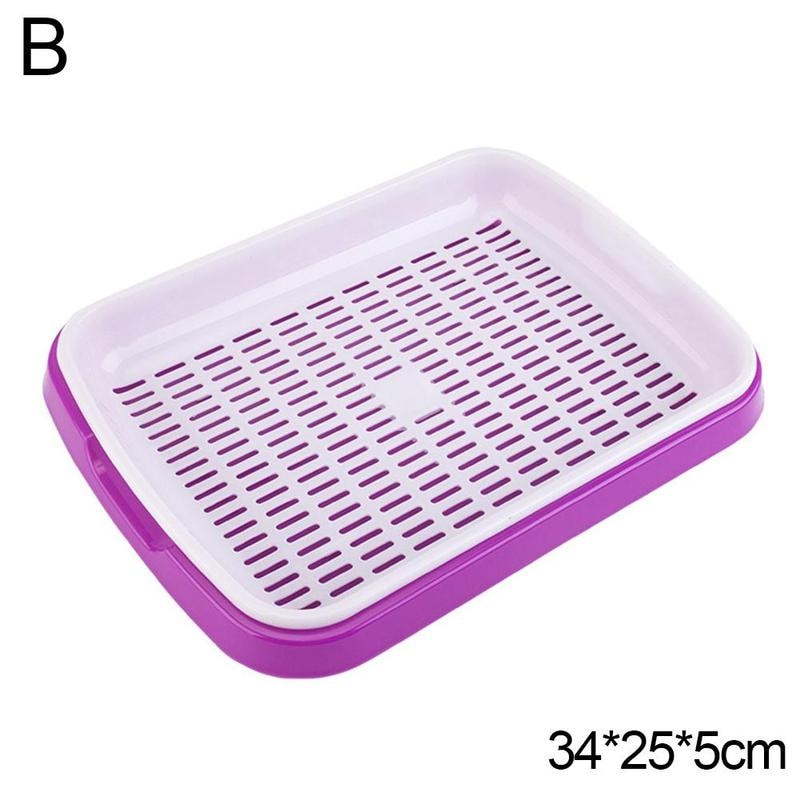 Seed Sprouter Tray