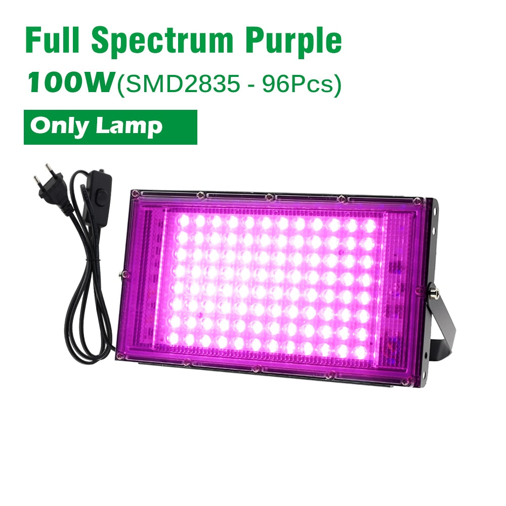 LED Grow Light With Clip / Stand