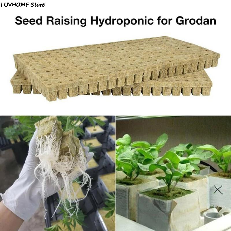 50Pcs Hydroponic Plant Cultivation Wool Cubes