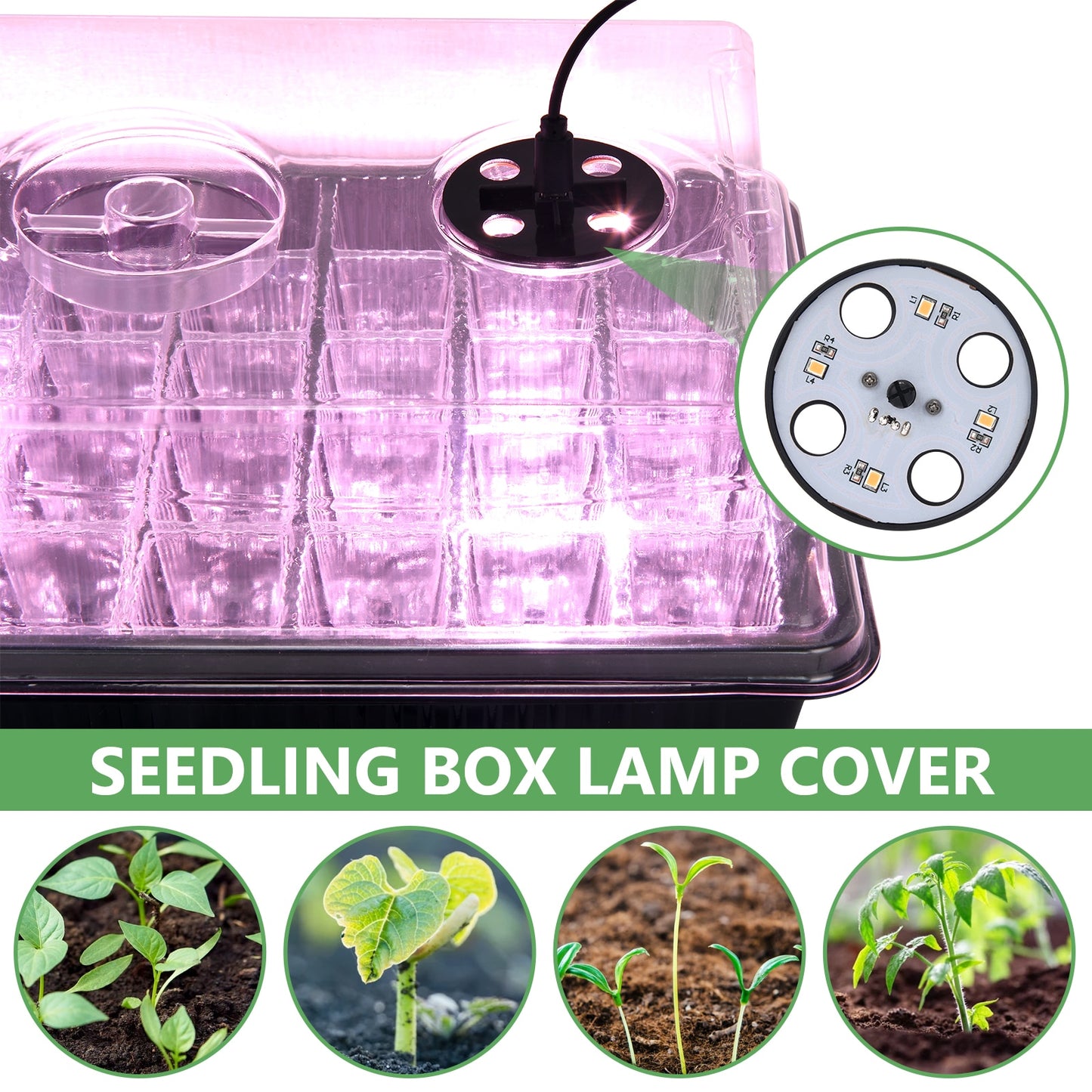 Plant LED Lights For Seed Starter Trays