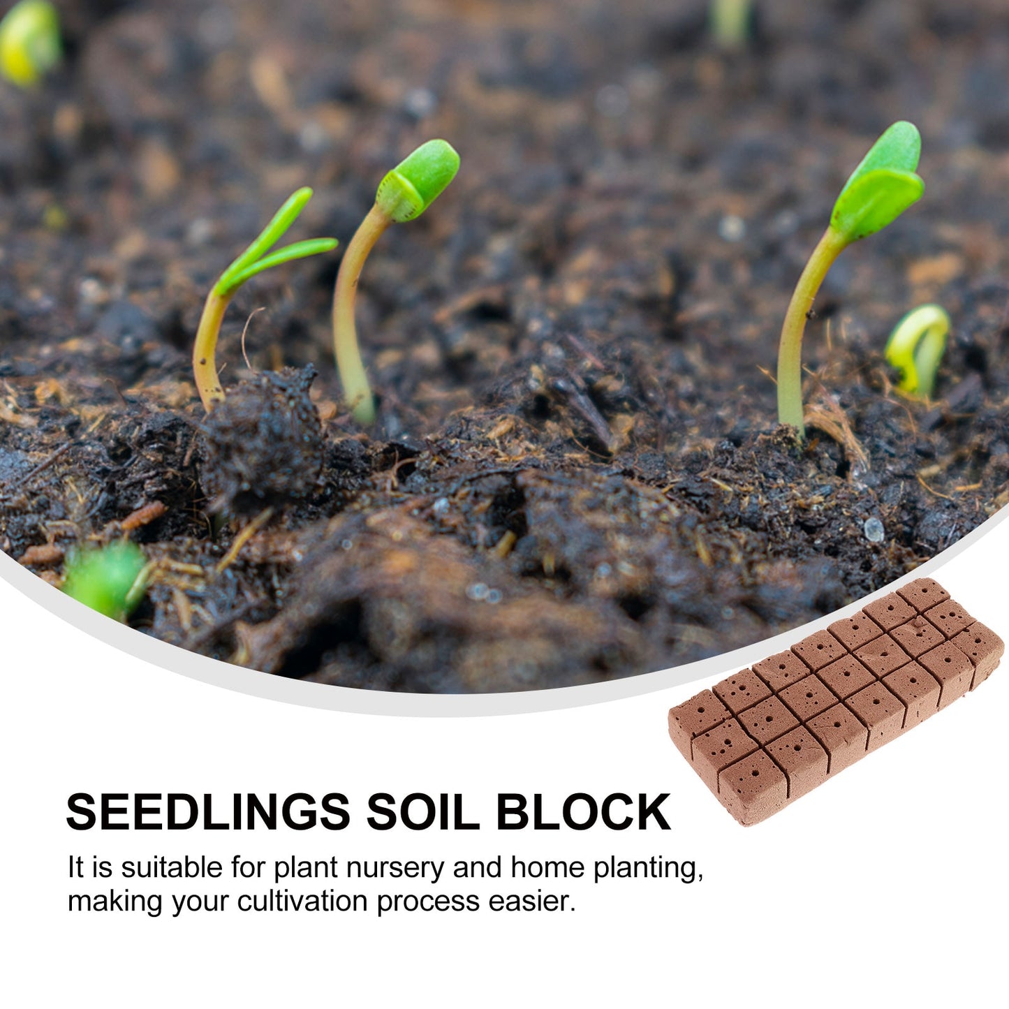 Hydroponic Germination Cubes