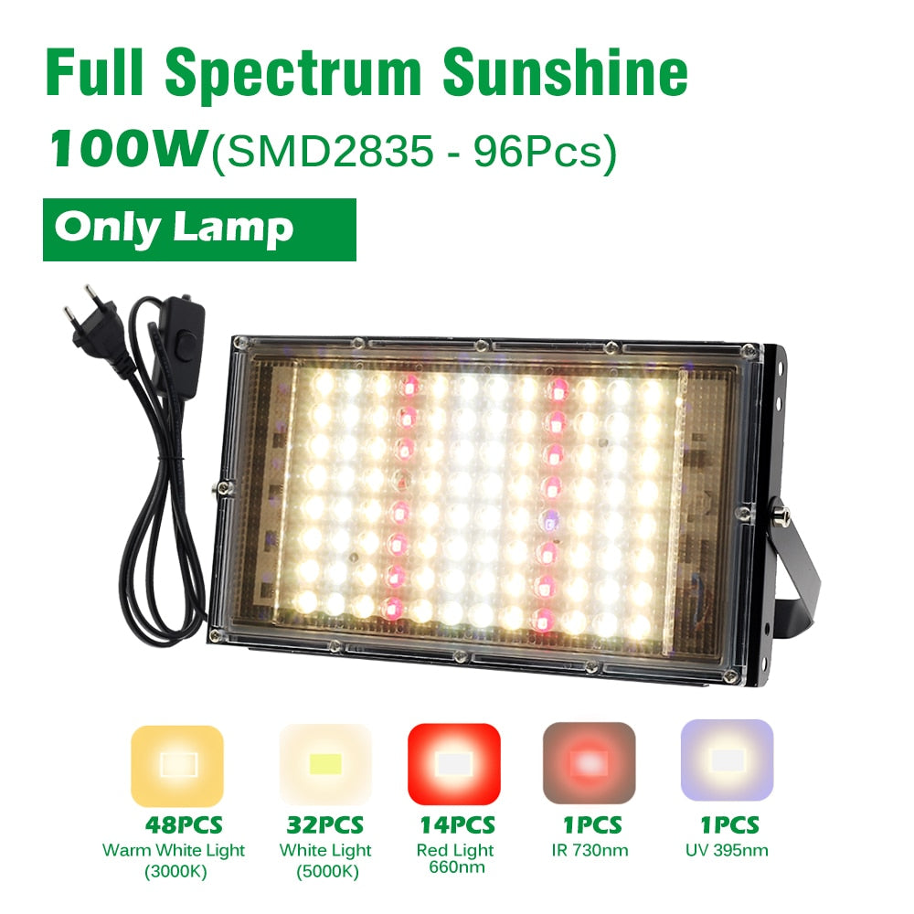 LED Grow Light With Clip / Stand