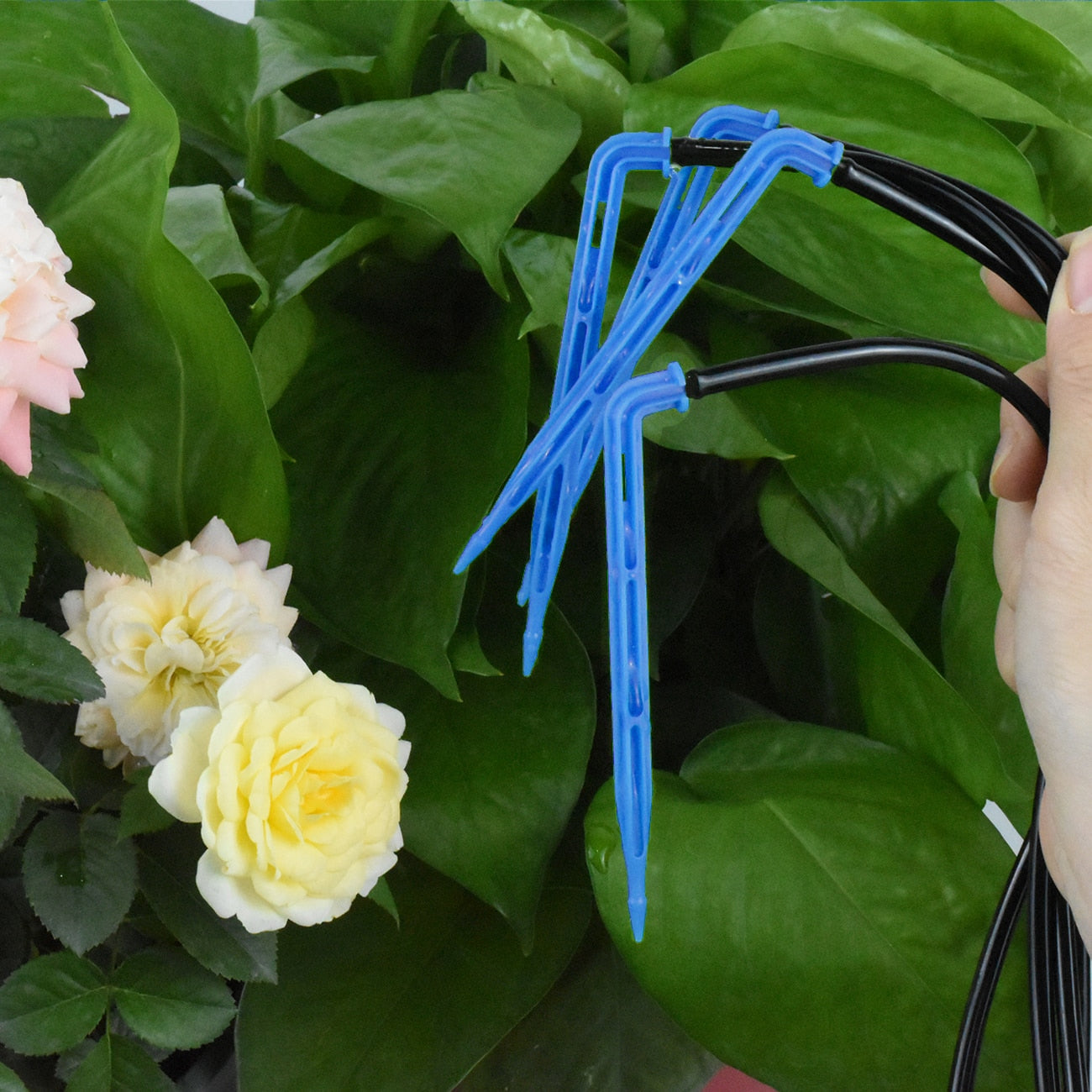 Greenhouse Drip Irrigation Watering System