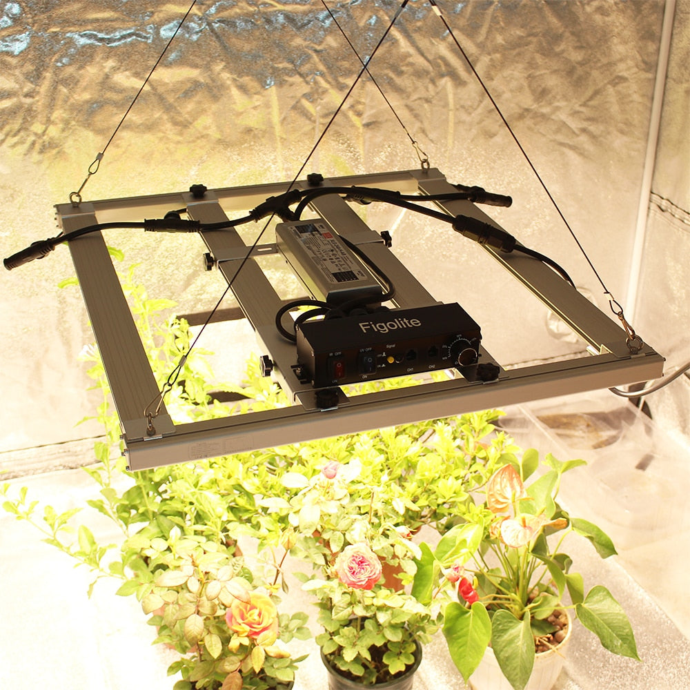 Samsung 240w Quantum Tech LED Grow Lighting System