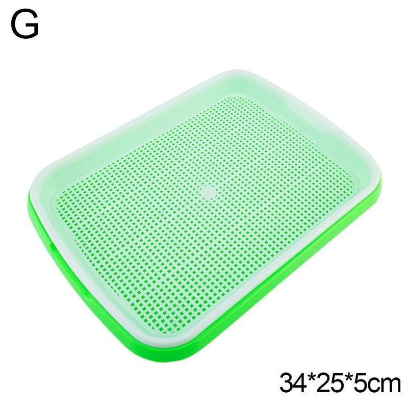 Seed Sprouter Tray