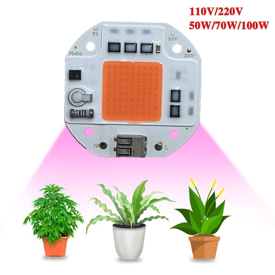 100W LED Chips