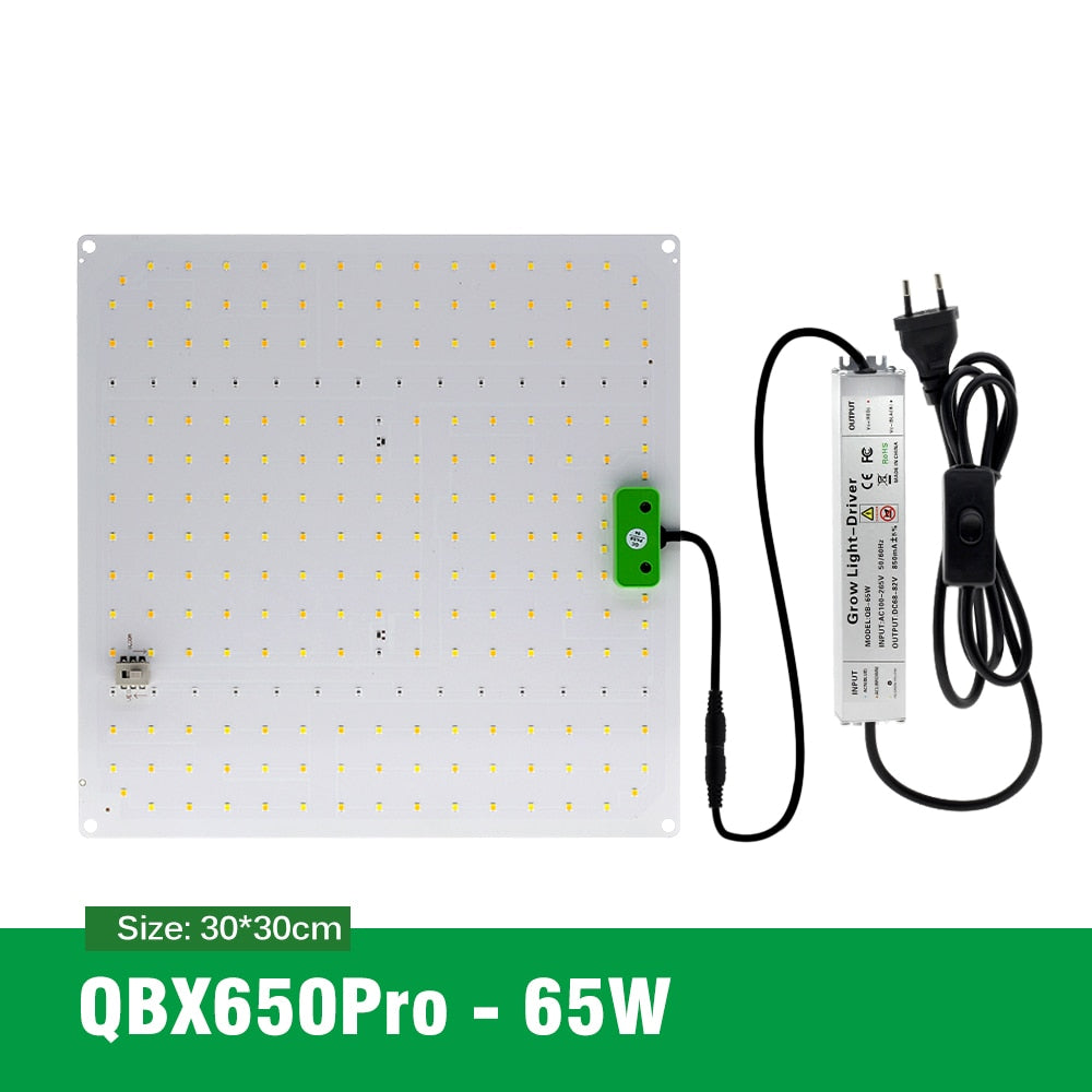 Samsung Quantum LED Grow Light