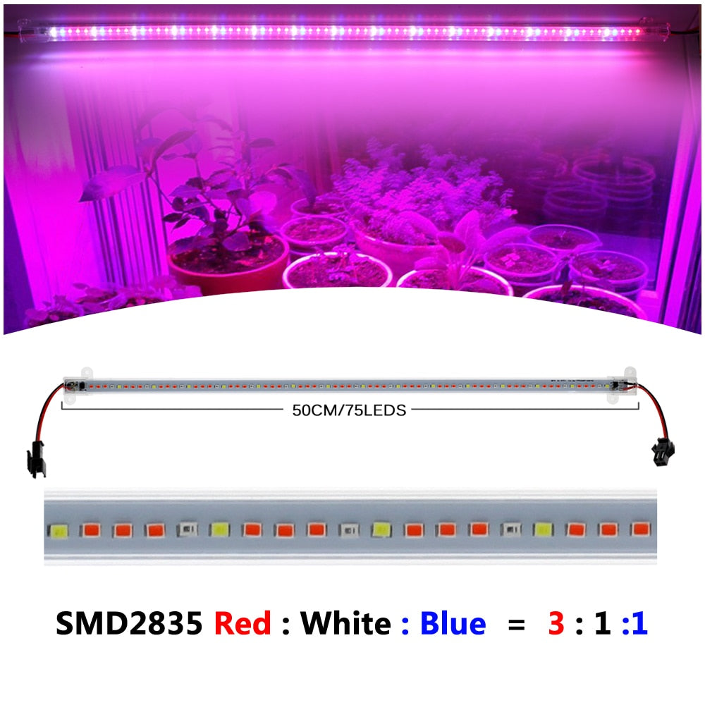 220V LED Grow Light