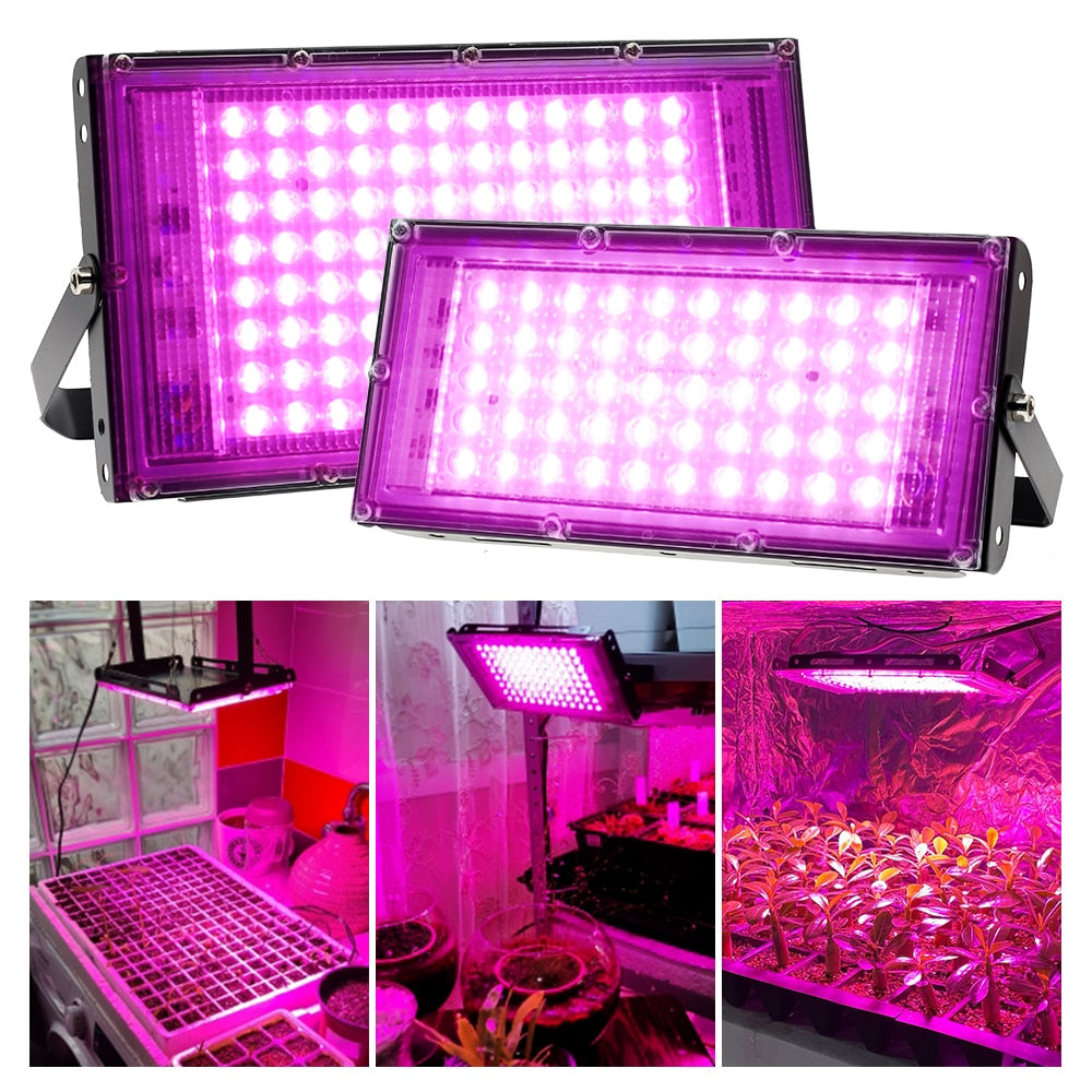 Full Spectrum PhytoLED Grow Light