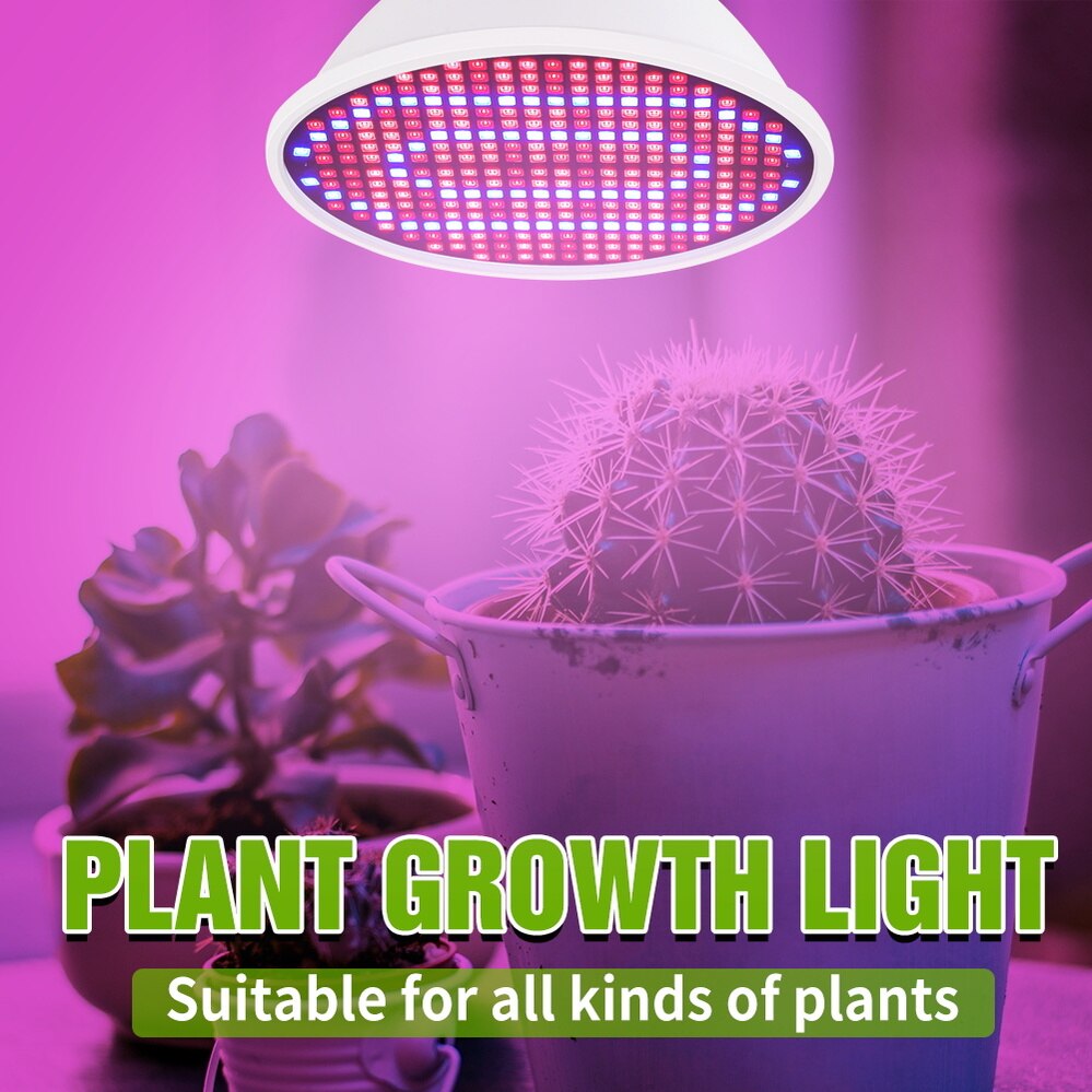 Full Spectrum Hydroponics Phyto Growth Light