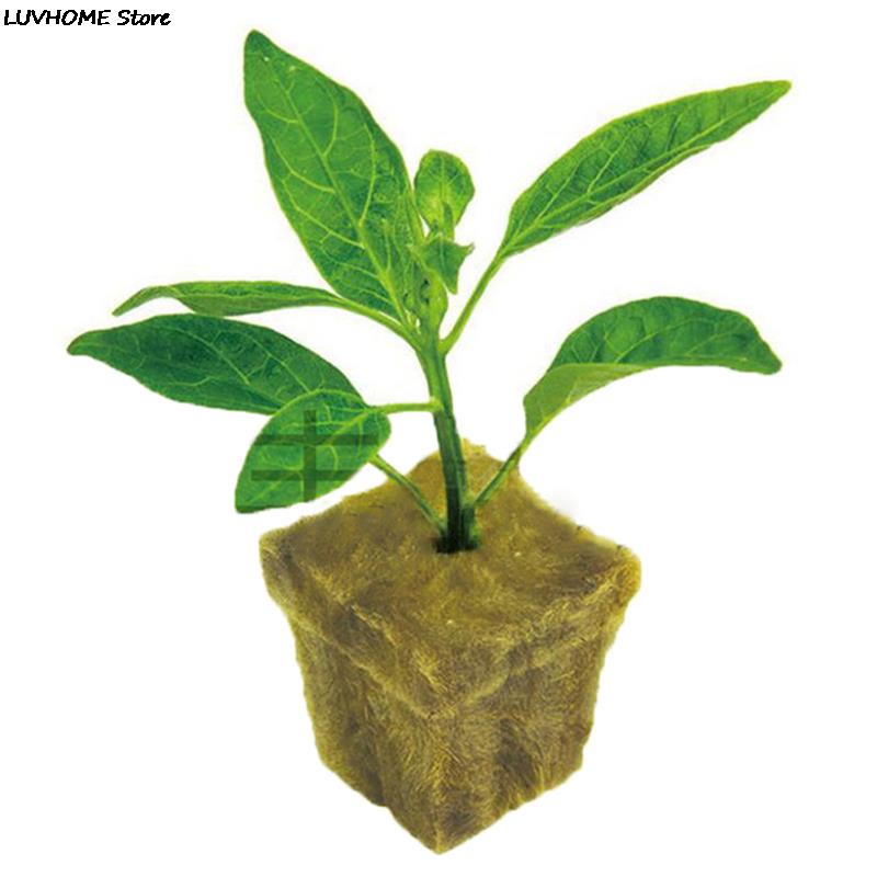 50Pcs Hydroponic Plant Cultivation Wool Cubes