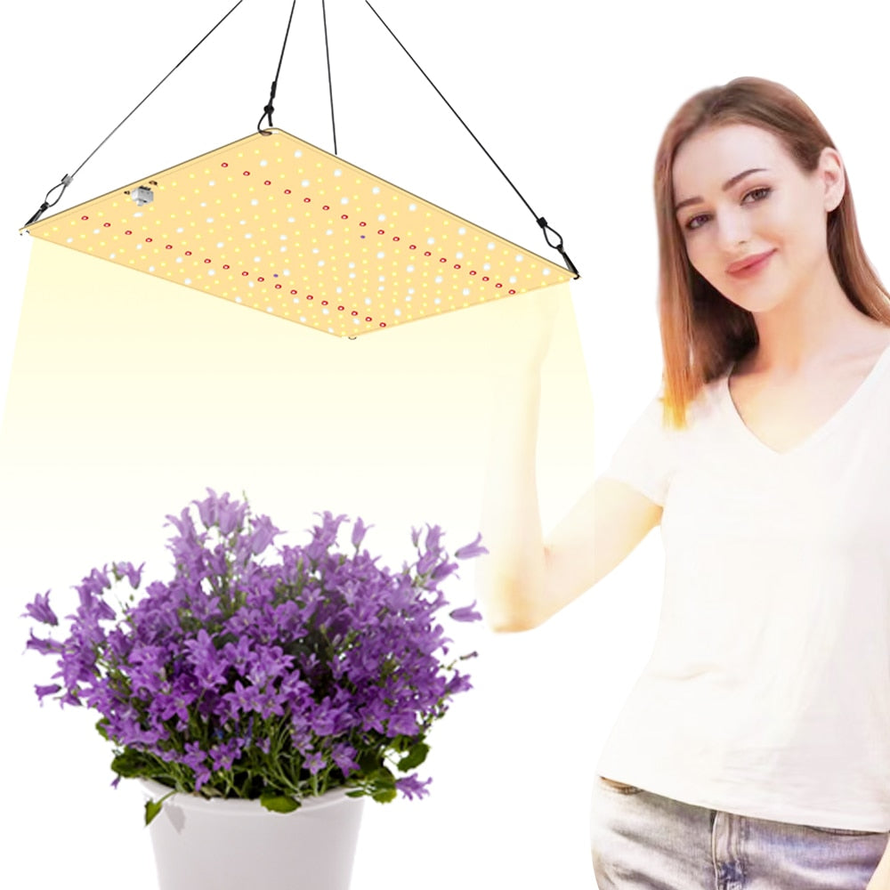 Full Spectrum 600W Grow Lamp