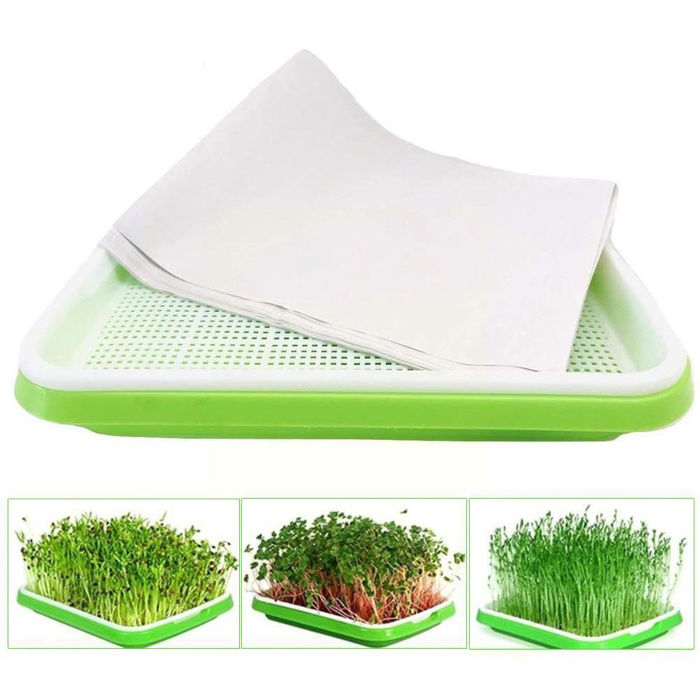 Seed Sprouter Tray