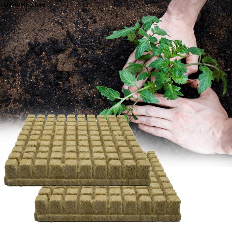 50Pcs Hydroponic Plant Cultivation Wool Cubes
