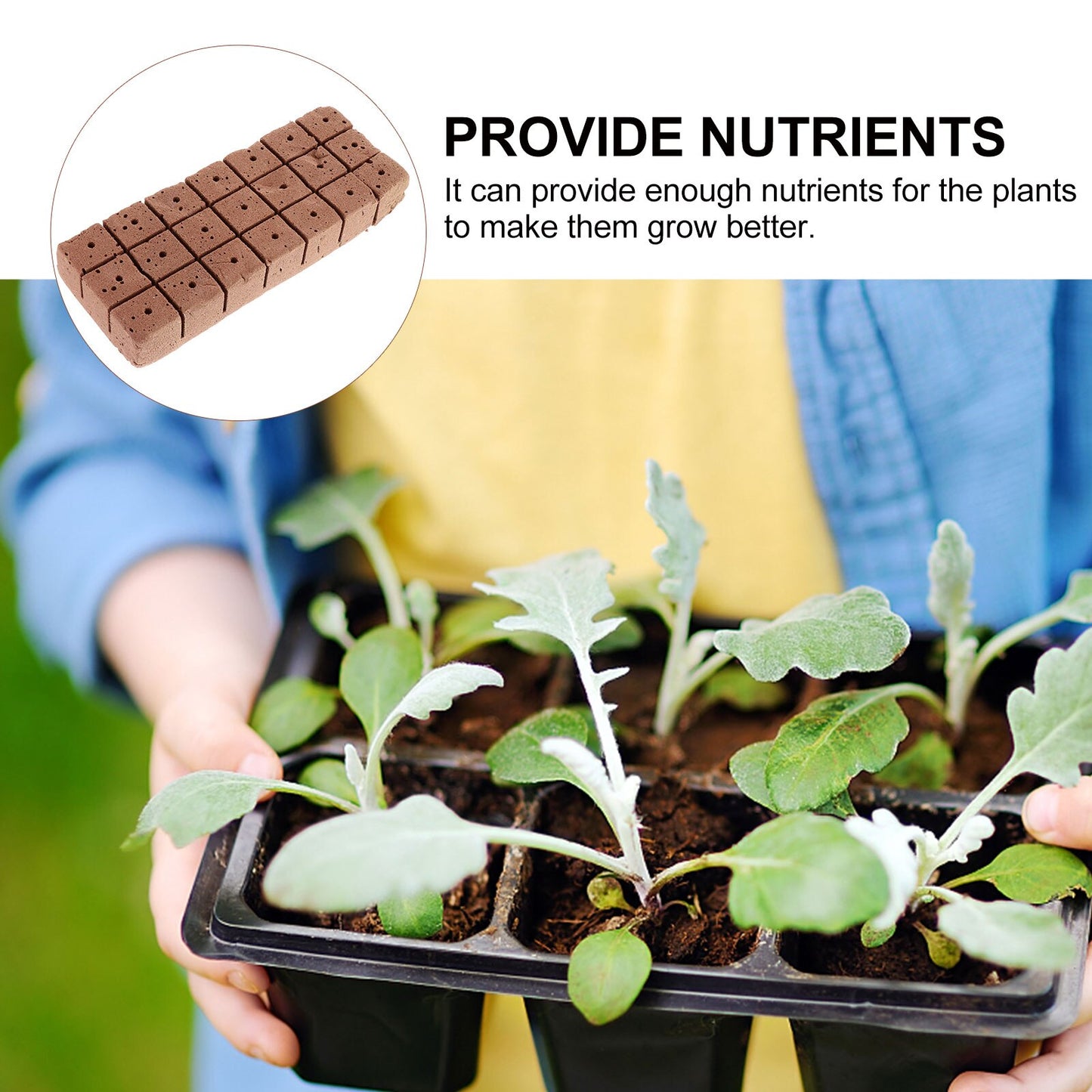 Hydroponic Germination Cubes